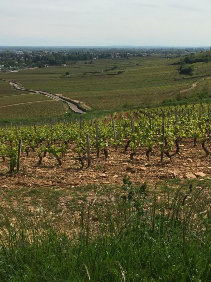 Maison A Beaune بون المظهر الخارجي الصورة